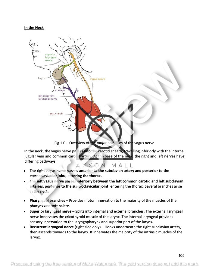 ANATOMY OF THE WALL OF TRUNK, THORACIC CAVITY AND RESPIRATORY