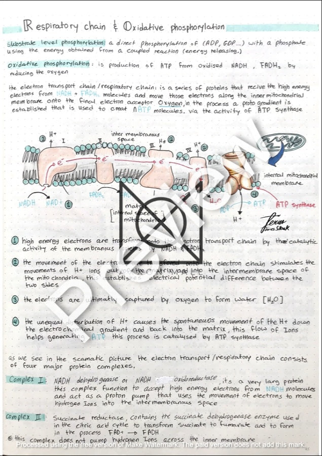 Biochemistry Notes by MUDr. Jeries Silbak