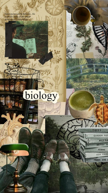 Biology Summary by MDDr. Uta Hüning