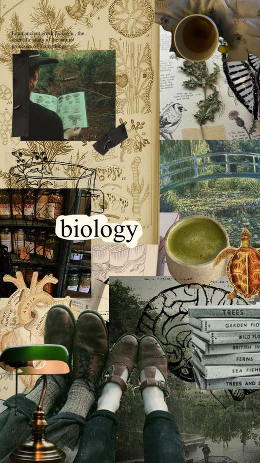 Biology Summary by MDDr. Uta Hüning