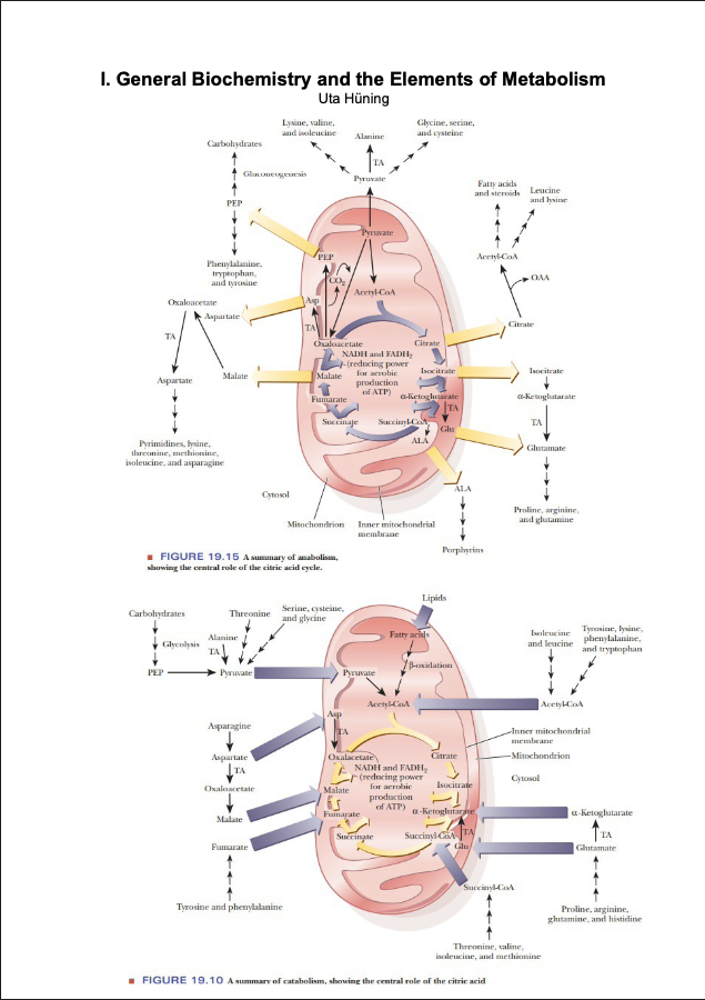 Uta's Full Biochemistry Vol. I-III