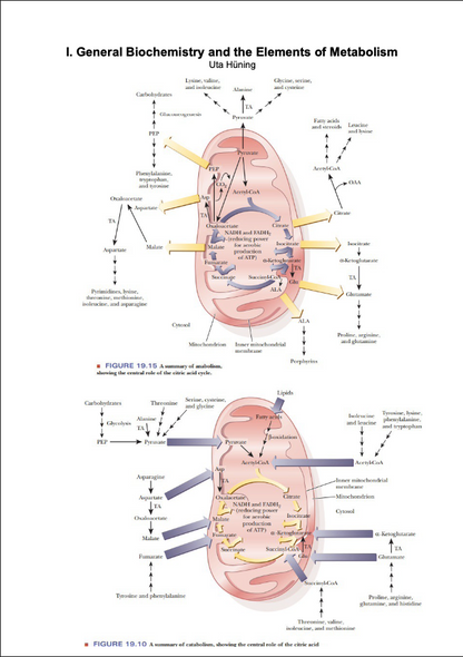 Uta's Full Biochemistry Vol. I-III