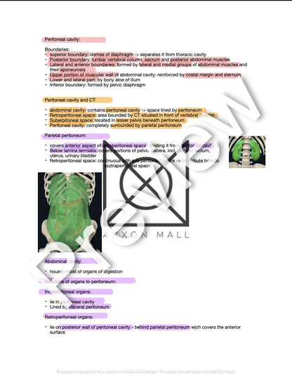 Anatomy 2 Summary by Rosa Weiß