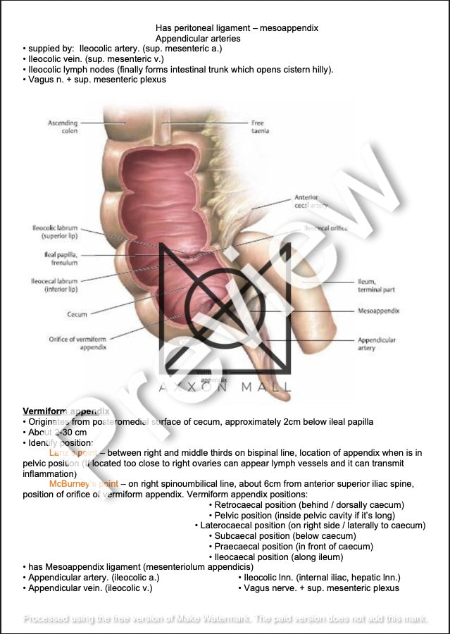 Anatomy (Digestive and Urinary System)