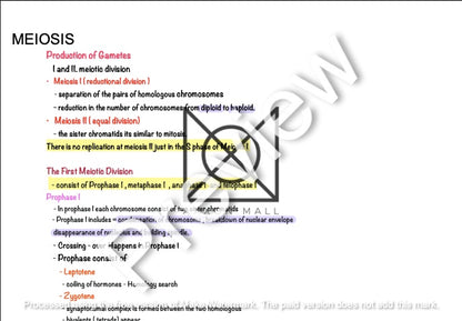 Cell Division by Baran Deniz