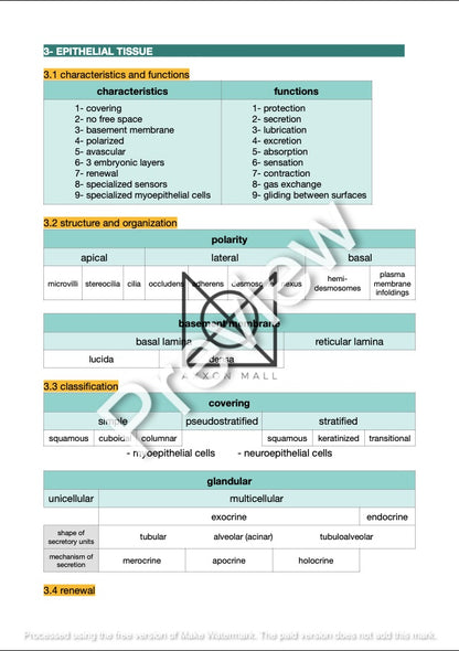 Introduction to Functional Histology by Amir Fallaha