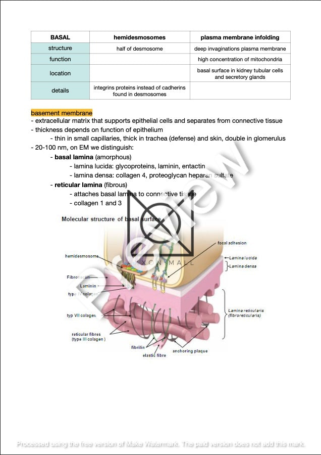 Introduction to Functional Histology by Amir Fallaha