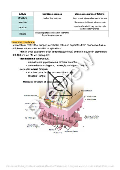 Introduction to Functional Histology by Amir Fallaha