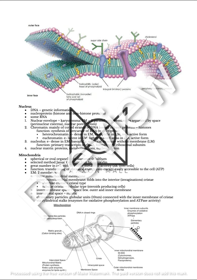 Complete Histology + Embryology Collection