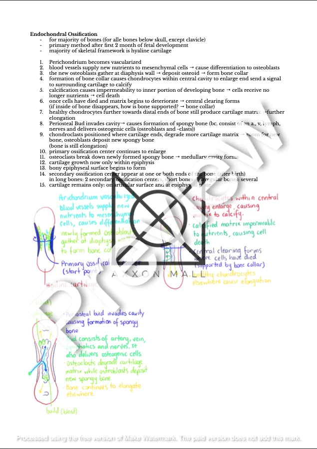 Complete Histology + Embryology Collection