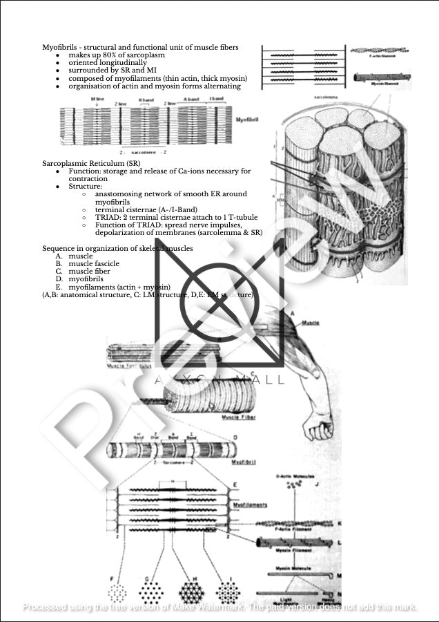 Histology 1 Notes by MDDr. Uta Hüning