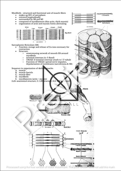 Histology 1 Notes by MDDr. Uta Hüning