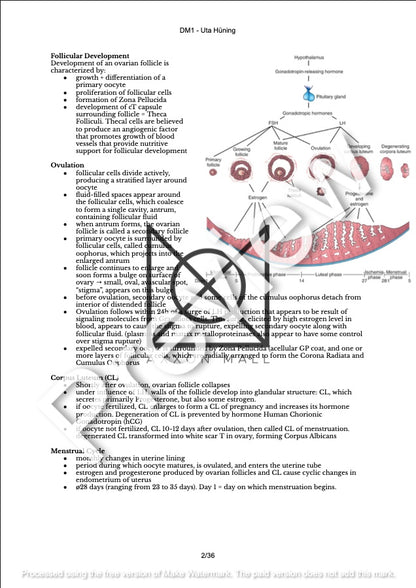 Embryology Summary by MDDr. Uta Hüning