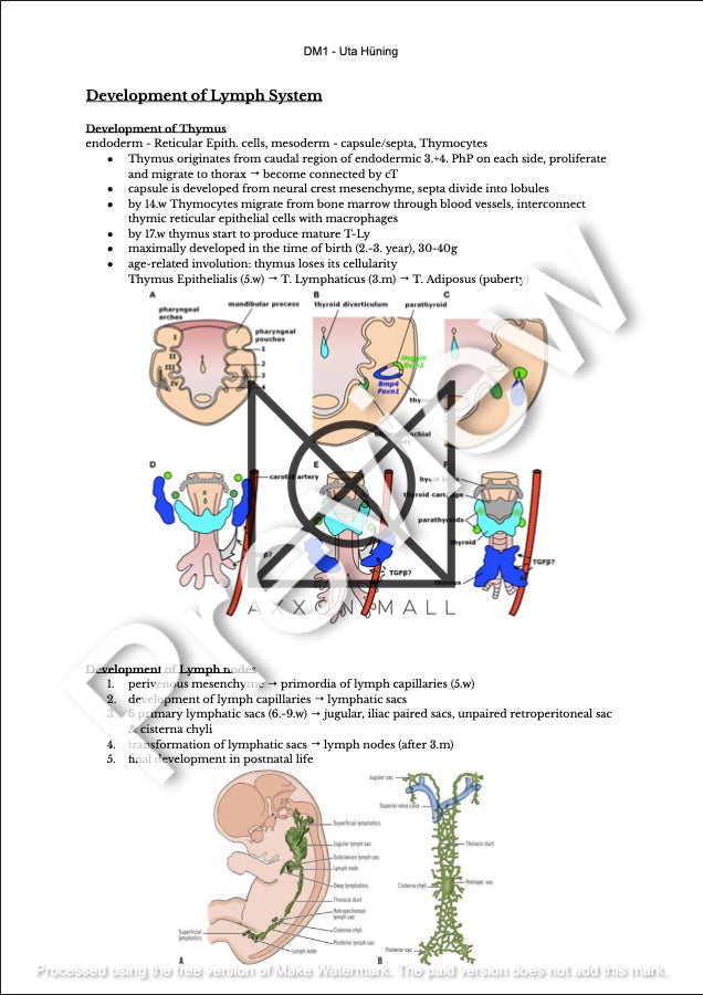 Embryology Summary by MDDr. Uta Hüning