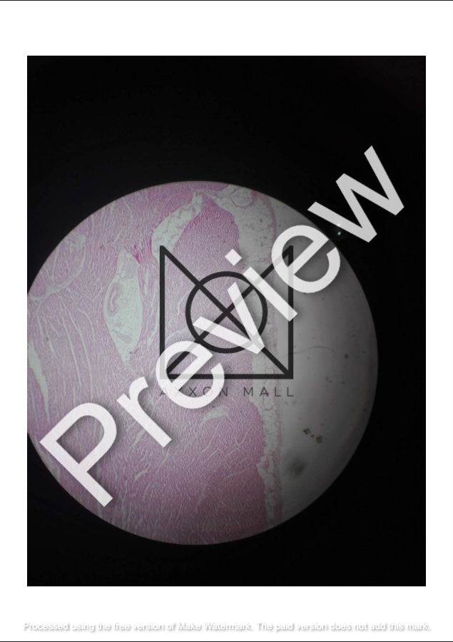 Histology All Slides (Labelled)