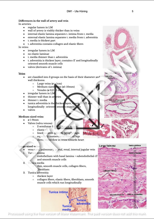 Histology 2 Notes by MDDr. Uta Hüning