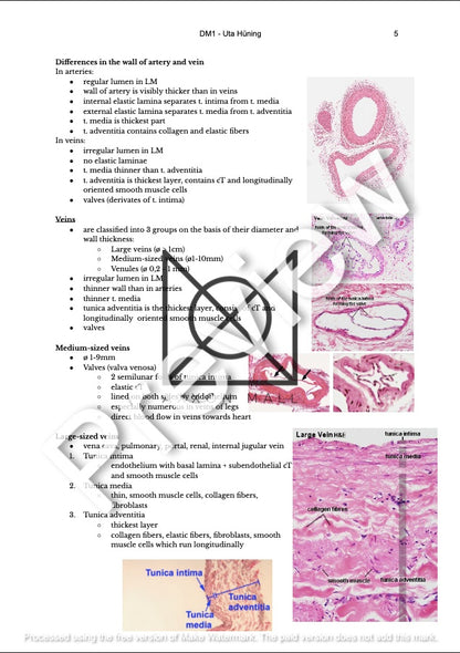 Histology 2 Notes by MDDr. Uta Hüning