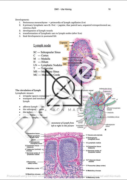 Histology 2 Notes by MDDr. Uta Hüning