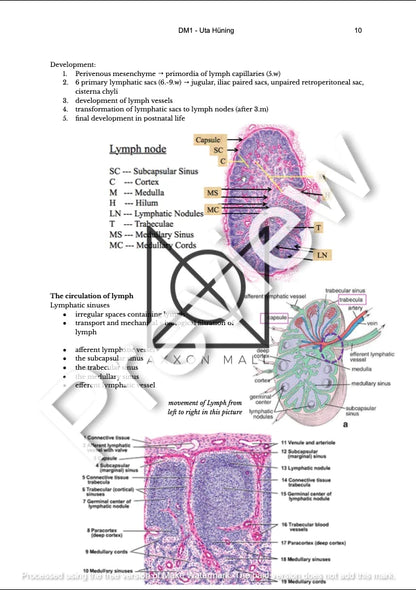 Complete Histology + Embryology Collection