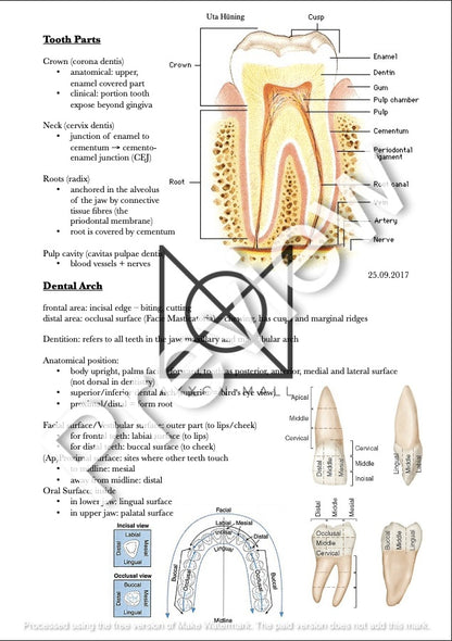Propedeutics Dentistry Vol. I-IV by MDDr. Uta Hüning