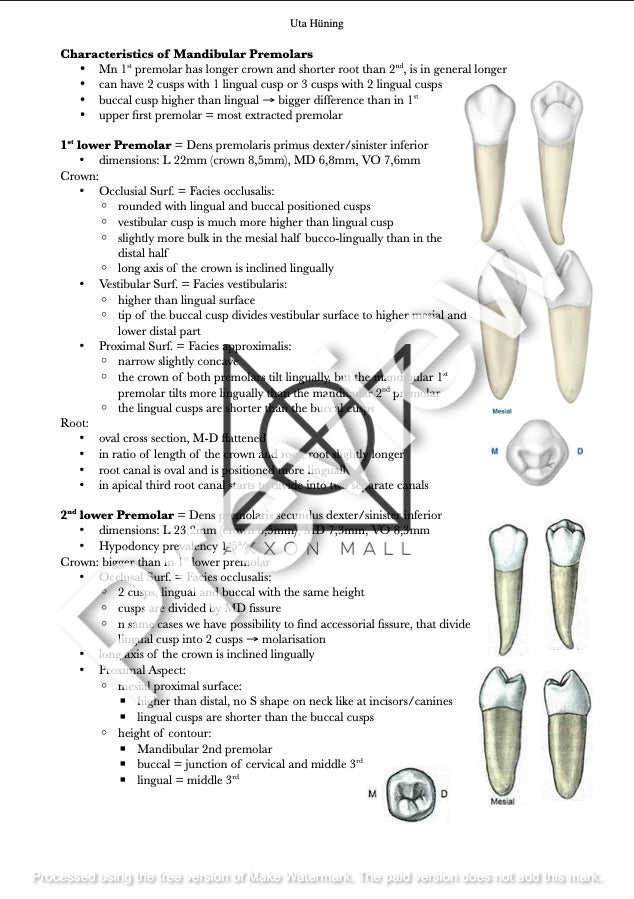 Propedeutics Dentistry I. by MDDr. Uta Hüning