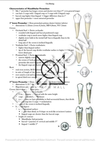 Propedeutics Dentistry I. by MDDr. Uta Hüning