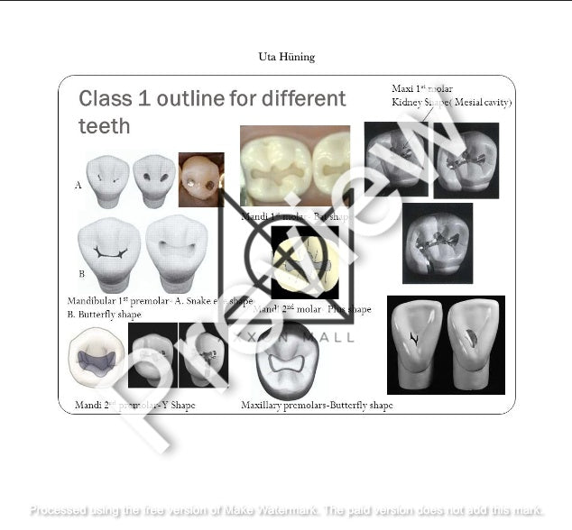 Propedeutics Dentistry Vol. I-IV by MDDr. Uta Hüning