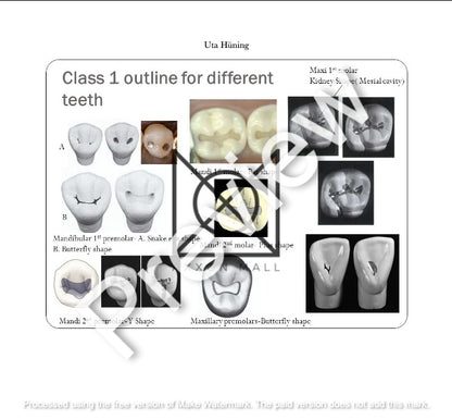 Propedeutics Dentistry Vol. I-IV by MDDr. Uta Hüning