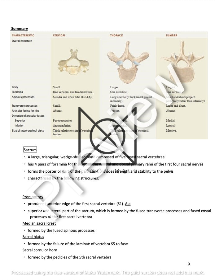 ANATOMY OF THE WALL OF TRUNK, THORACIC CAVITY AND RESPIRATORY