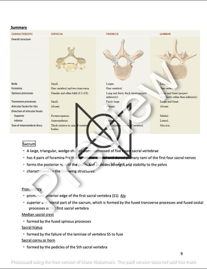 ANATOMY OF THE WALL OF TRUNK, THORACIC CAVITY AND RESPIRATORY