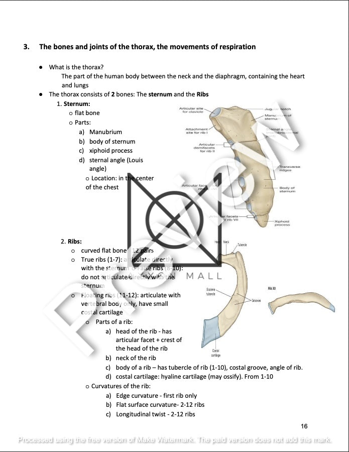 ANATOMY OF THE WALL OF TRUNK, THORACIC CAVITY AND RESPIRATORY