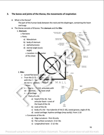 ANATOMY OF THE WALL OF TRUNK, THORACIC CAVITY AND RESPIRATORY