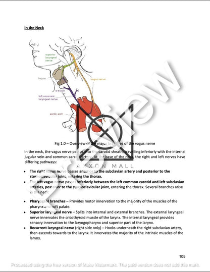 ANATOMY OF THE WALL OF TRUNK, THORACIC CAVITY AND RESPIRATORY