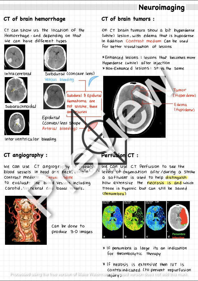 Full Neurology (According to Finals) by MUDr. Jeries Silbak