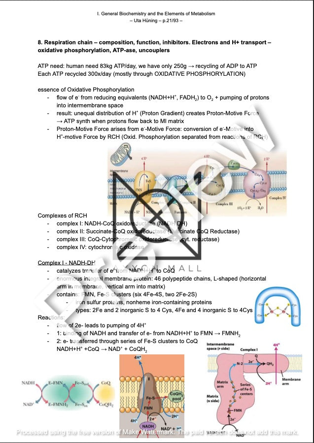 I. General Biochemistry and the Elements of Metabolism