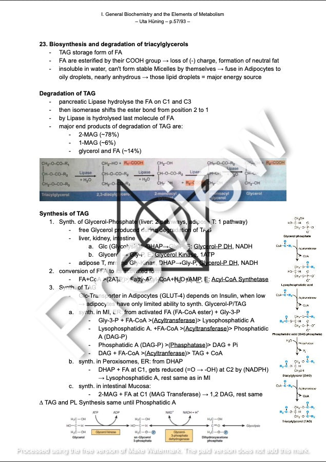 I. General Biochemistry and the Elements of Metabolism