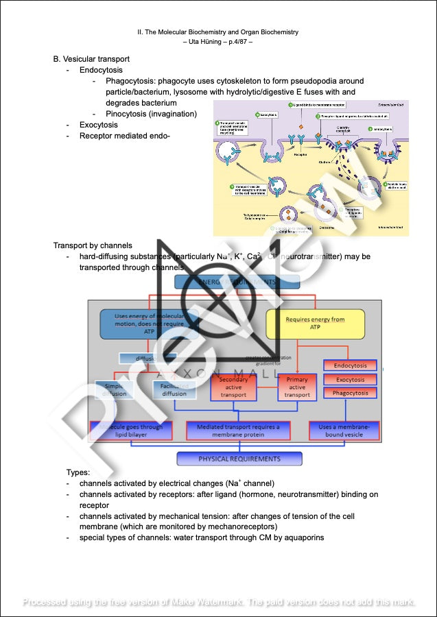 Uta's Full Biochemistry Vol. I-III