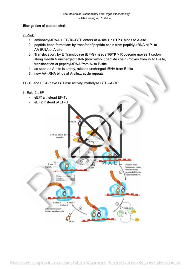 II. The Molecular Biochemistry and Organ Biochemistry