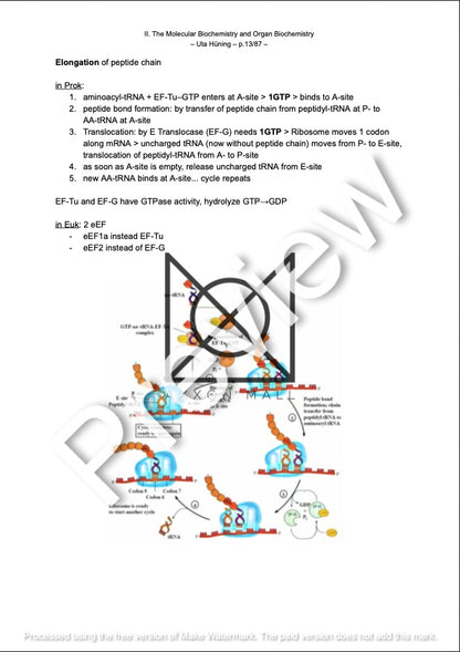 Uta's Full Biochemistry Vol. I-III