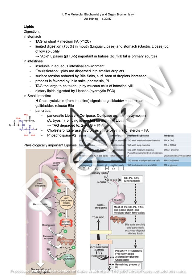 II. The Molecular Biochemistry and Organ Biochemistry