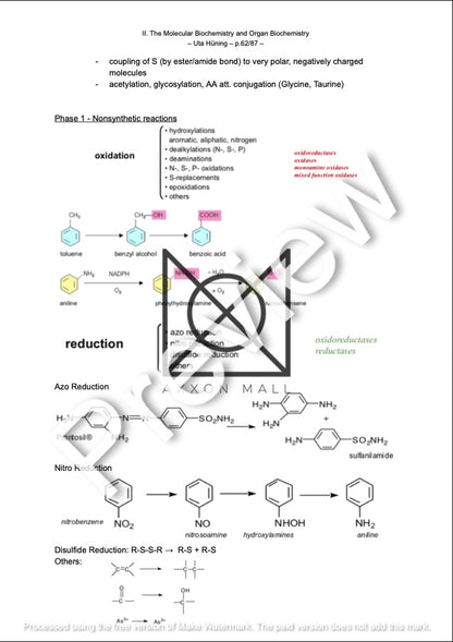 II. The Molecular Biochemistry and Organ Biochemistry