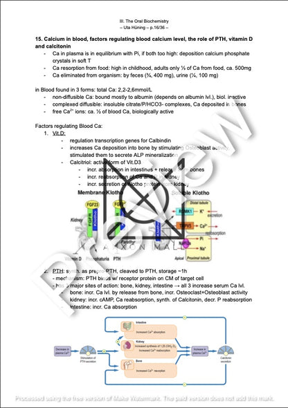 III. The Oral Biochemistry