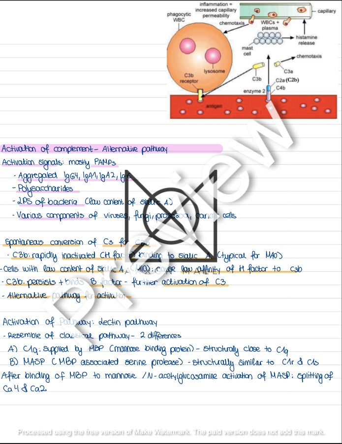 Immunology Lecture Summary by Rosa Weiß