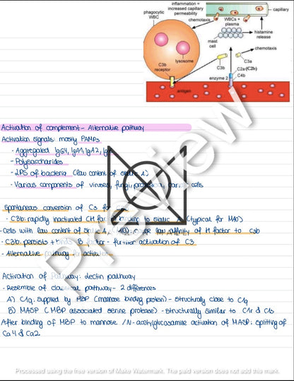 Immunology Lecture Summary by Rosa Weiß