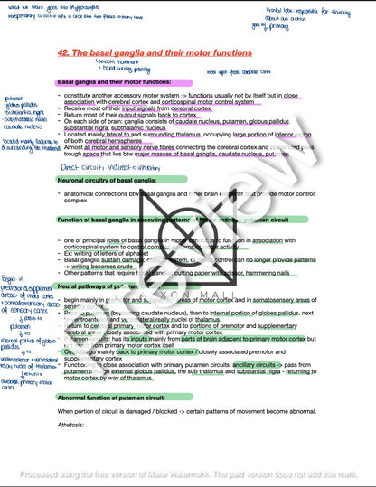 Physiology 2 Oral Exam Preparation by Rosa Weiß