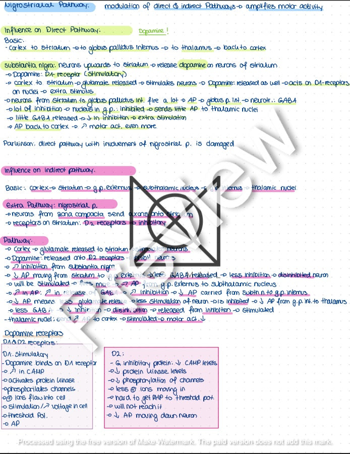 Physiology 2 Oral Exam Preparation by Rosa Weiß