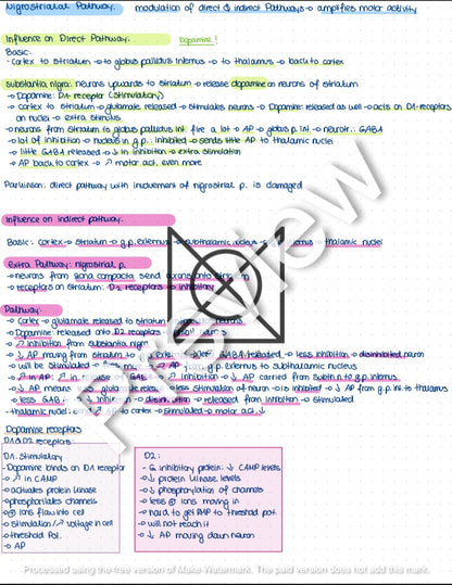 Physiology 2 Oral Exam Preparation by Rosa Weiß