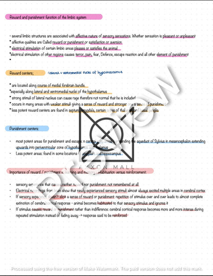 Physiology 2 Oral Exam Preparation by Rosa Weiß