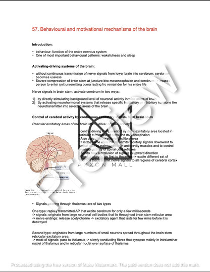 Physiology 2 Oral Exam Preparation by Rosa Weiß