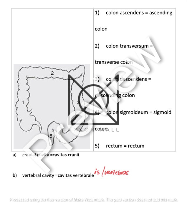 Complete Medical Terminology